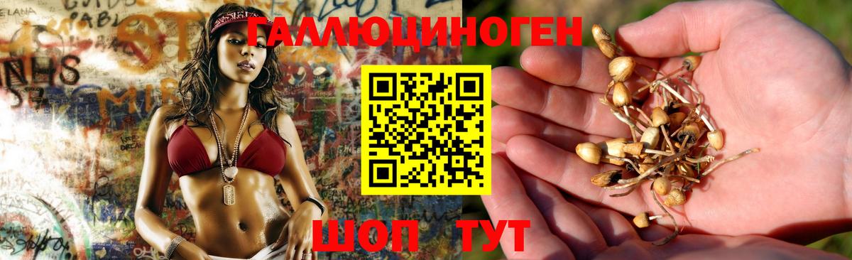 Псилоцибиновые грибы мухоморы  закладка  Павлово  Галлюциногенные грибы ЛСД  Вход с VPN 